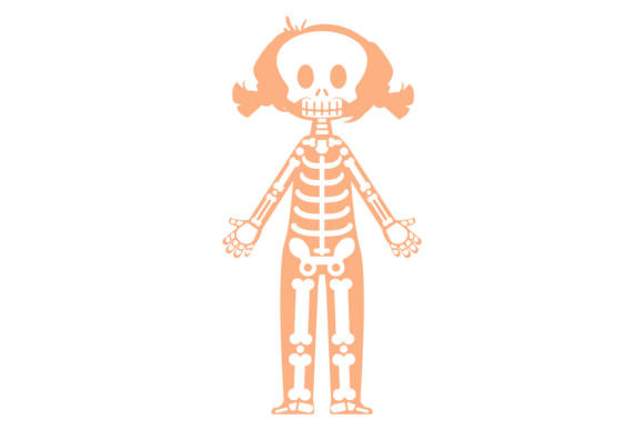 Download Kid Bone Structure. Human Skeletal Anato - Structure Collection